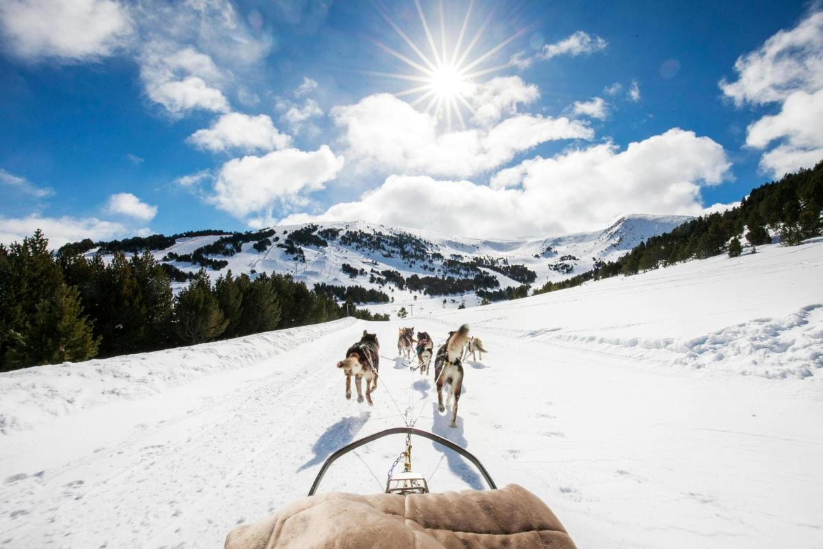Balade en chiens de traîneau sous les sommets enneigés d'Andorre, près du Pas de la Case